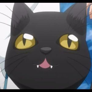 Meet your Posher, Eden